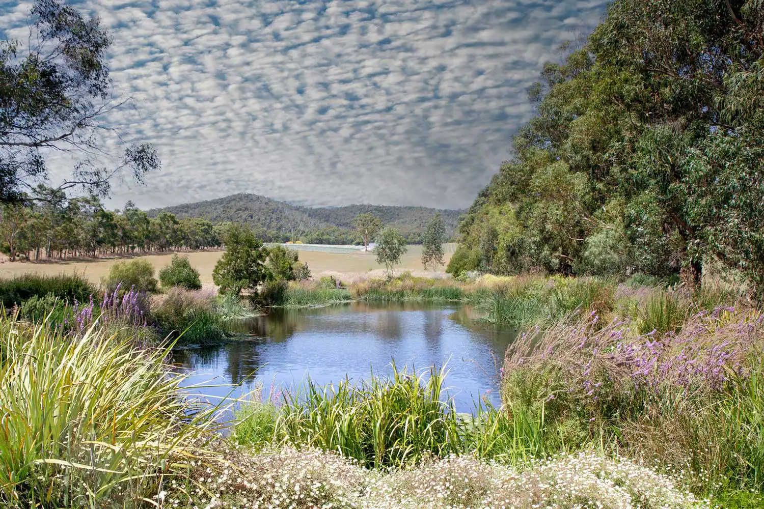 Glenlowren views and pond