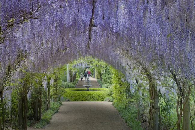 alowyn-gardens-feature garden and farmgate itinerary