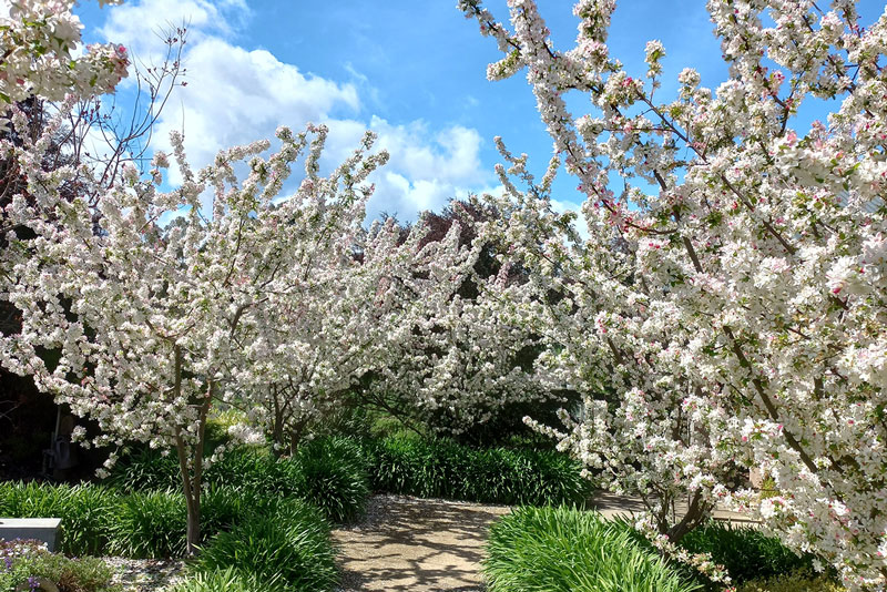 things to do in the yarra valley this spring