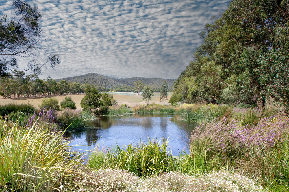 yarra valley b&bs