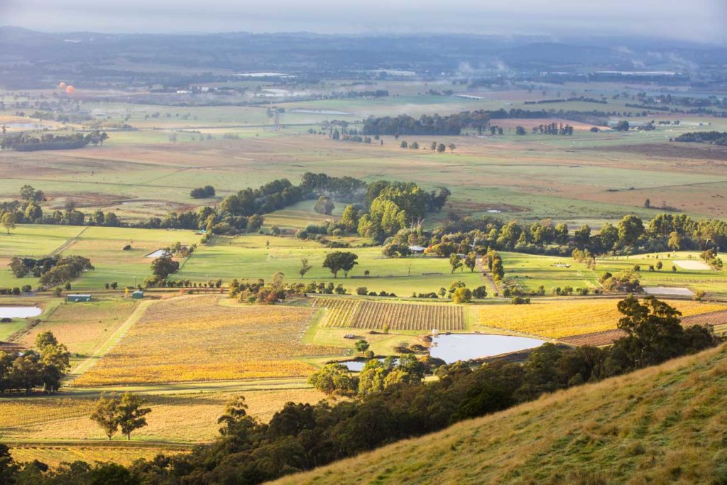 yarra valley scene