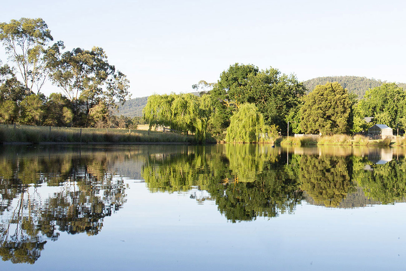 what's on in the yarra valley summer 2025/26